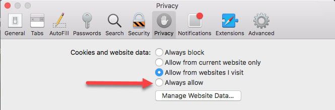 Cookies And Website Data Settings