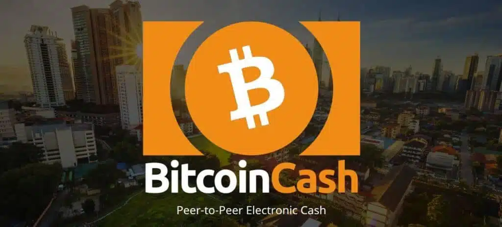 The bitcoin cash homescreen.
