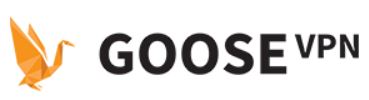 GooseVPN logo