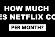 How much does Netflix cost per month?