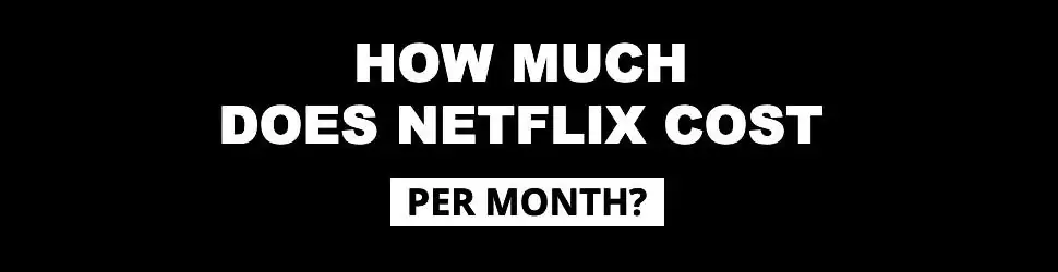 How much does Netflix cost per month