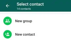 WhatsApp new contact