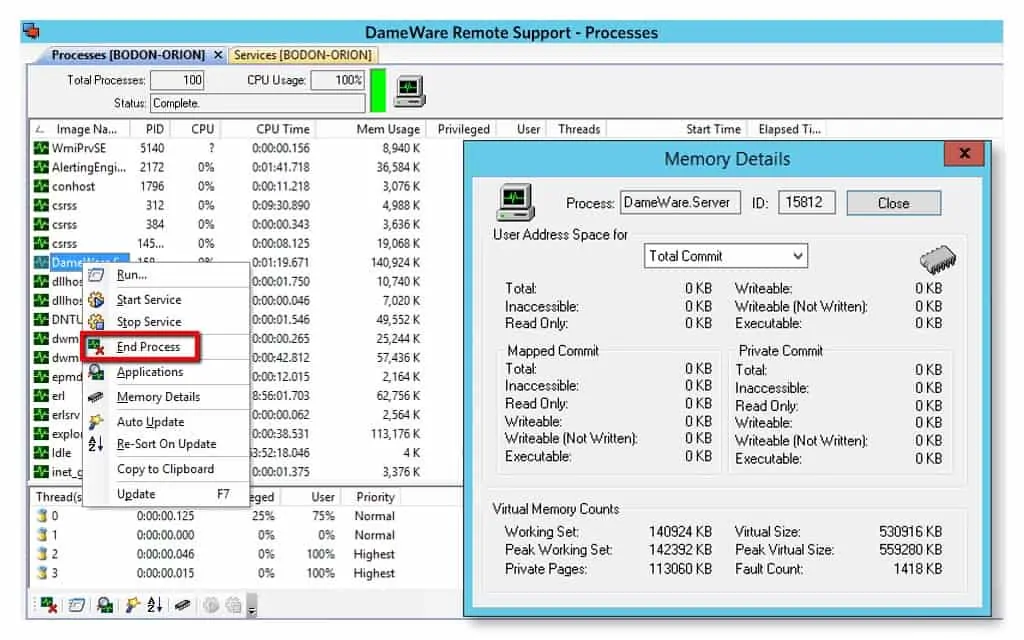 Dameware Remote Support-windows-management