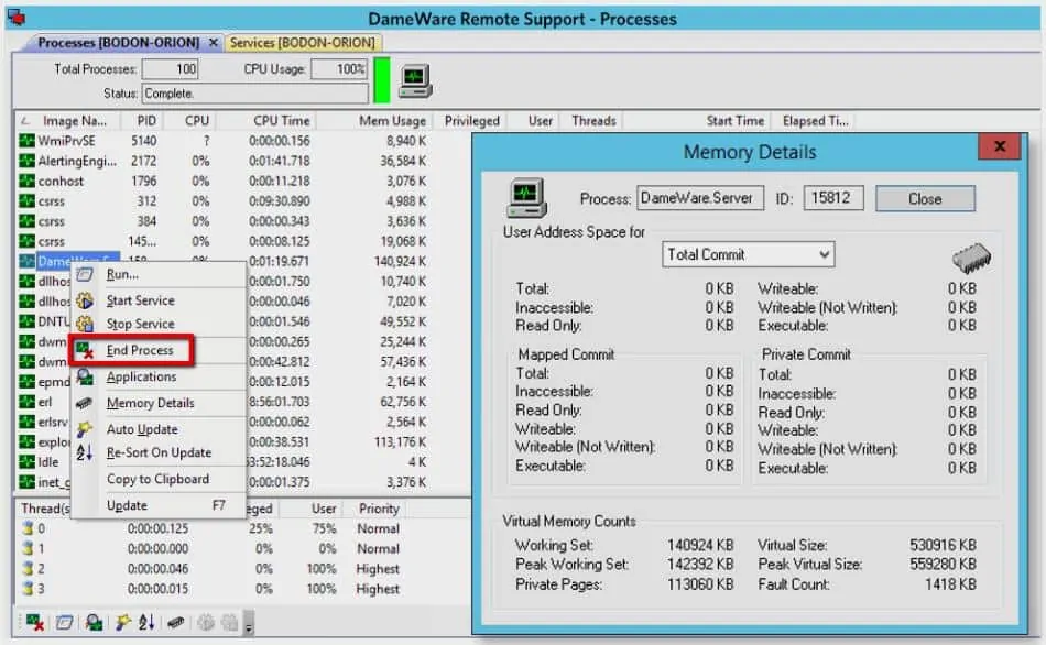 SolarWinds Dameware Remote Support - Processes