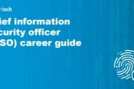 Chief information security officer (CISO) career guide