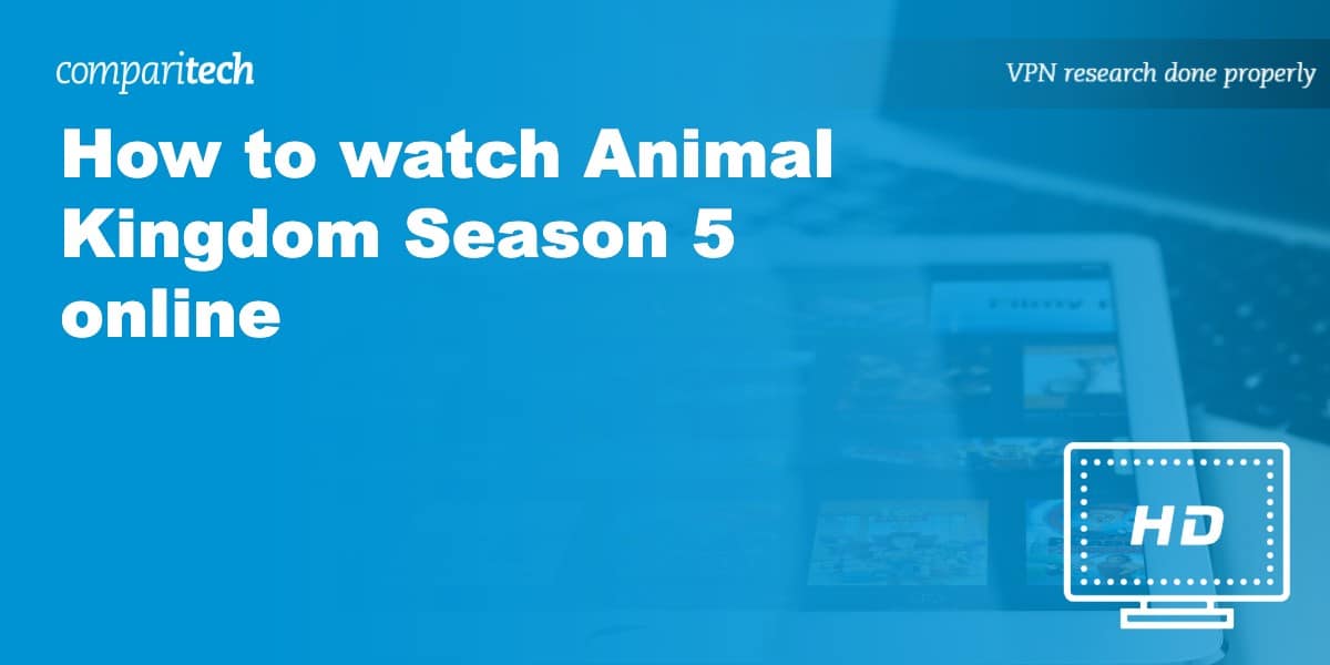 How to Watch Animal Kingdom Season 5 Online (from anywhere)