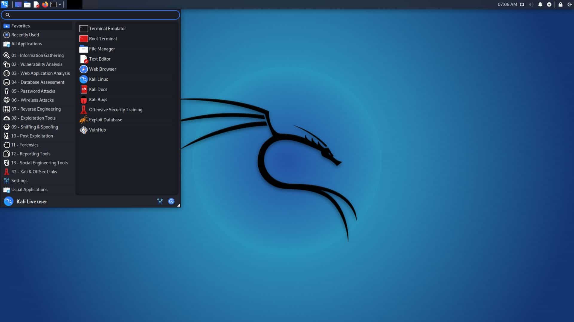 Kali Linux interface