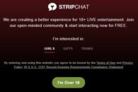 Sex cam site Stripchat exposes user, model info on the web: report