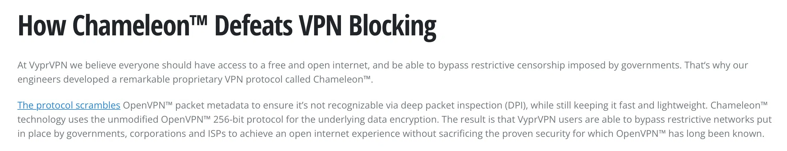 VyprVPN - Chameleon Encryption