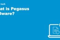 What is Pegasus malware?