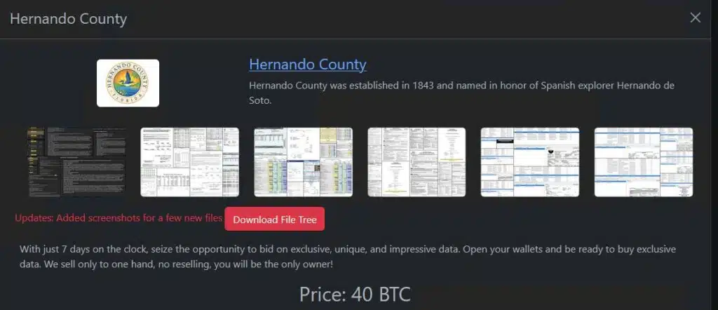 Hernando County ransomware